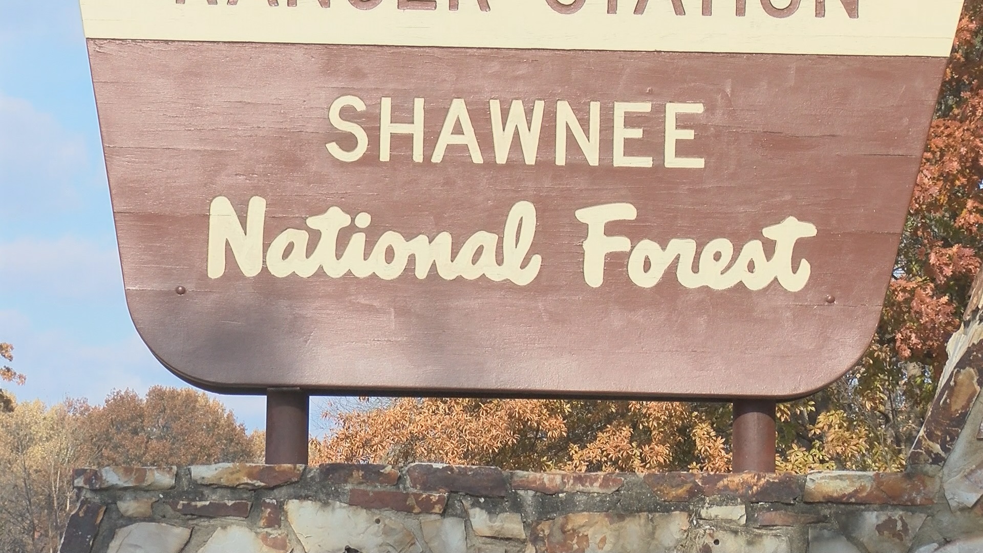 Shawnee National Forest Offers New Christmas Tree Permit