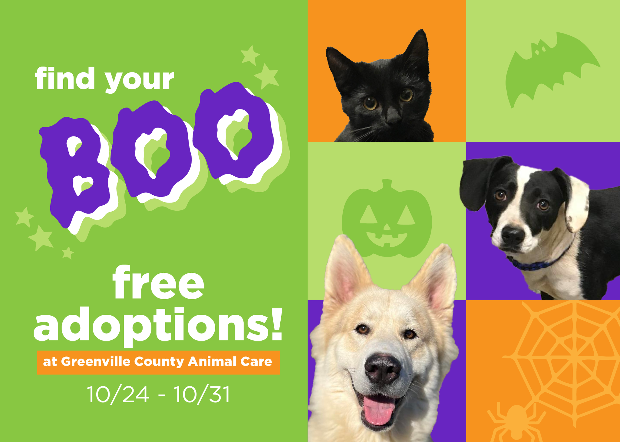 Greenville County Animal Care waiving adoption fees through Halloween