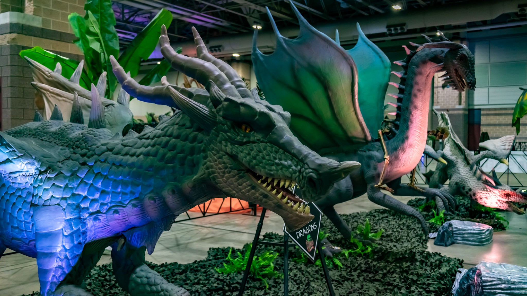 PHOTOS: Dino and Dragon Stroll roars its way to the Coliseum