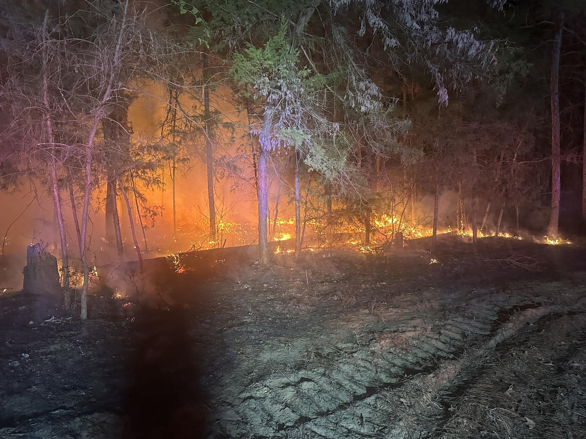 Crews put out Montgomery County brush fire involving 1.5 acres, image size:2048x1536