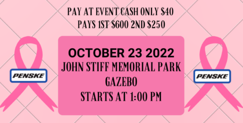 Strike Out Cancer – Playing Pink (2022) - Panama City Beach, FL - USSSA  Florida Fast Pitch