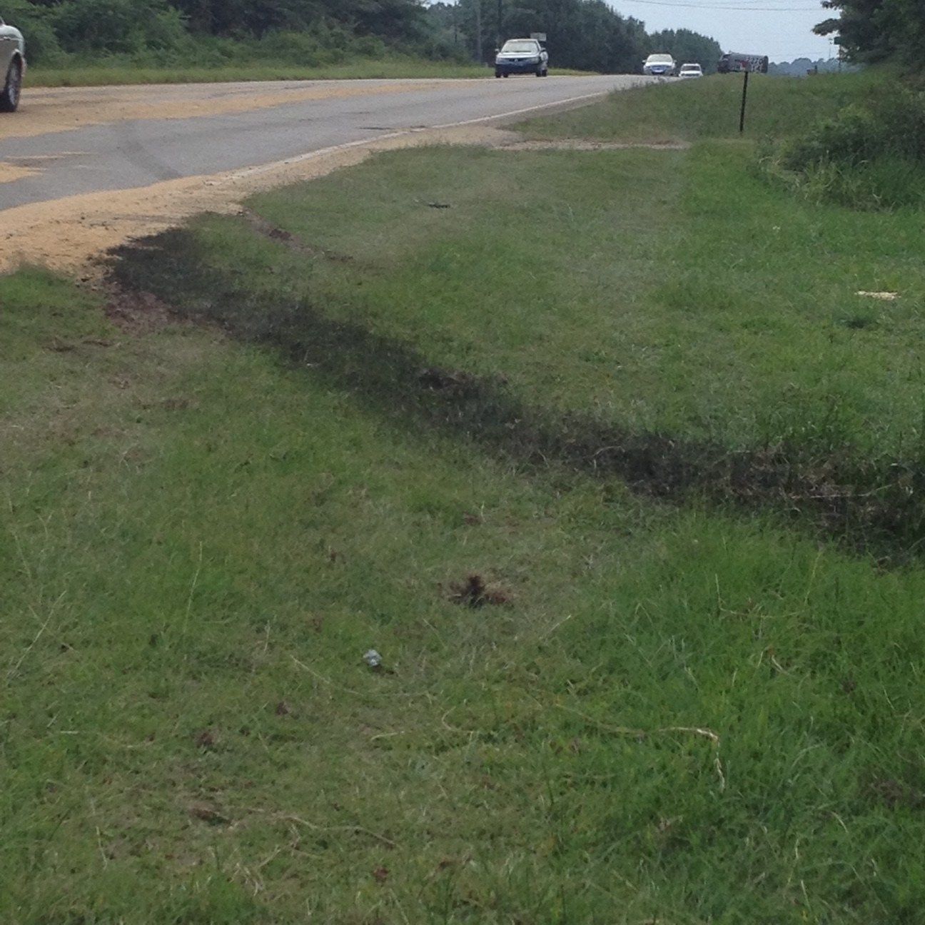 Hwy. 14 east of Millbrook reopens following 3vehicle crash