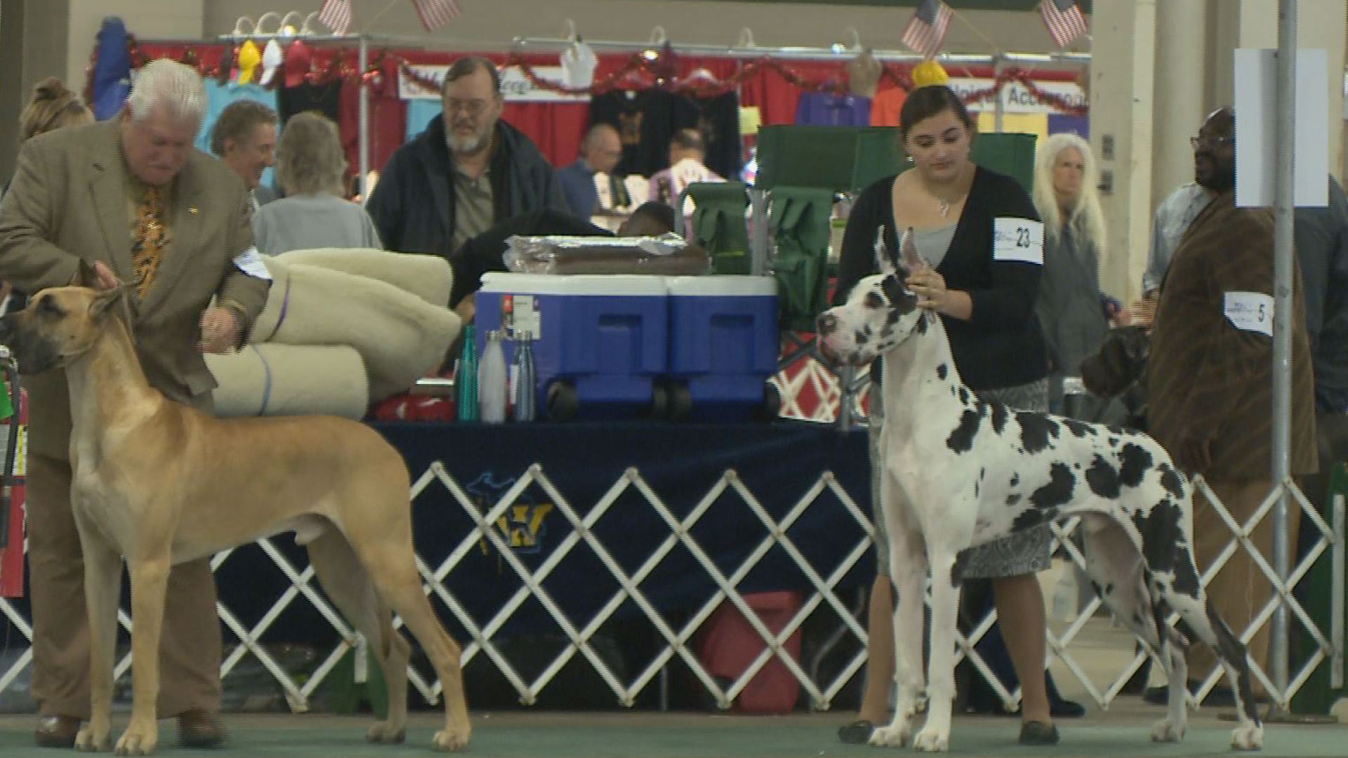 dogs out this weekend in Ingham County