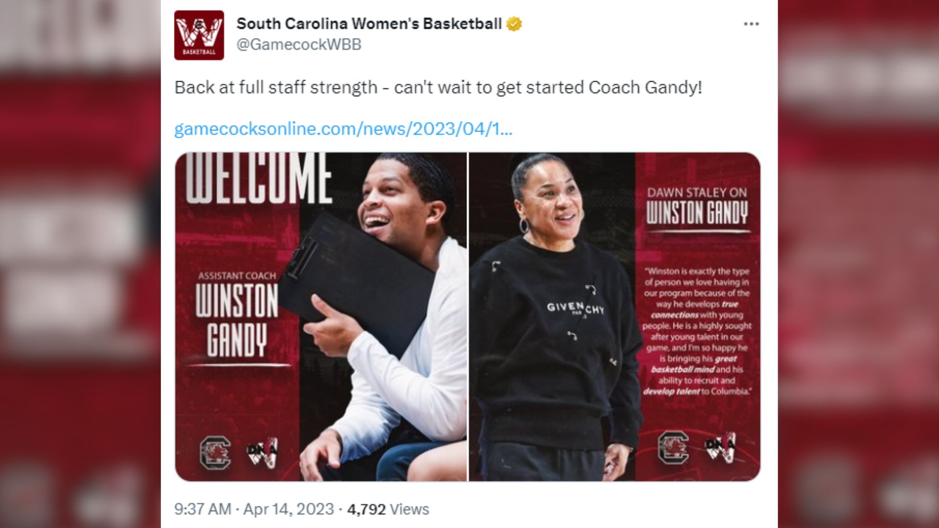 Dawn Staley Celebrates on Sideline After Big South Carolina Touchdown -  Sports Illustrated