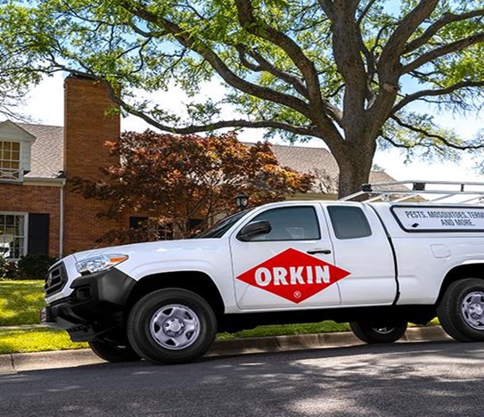 Orkin pest deals