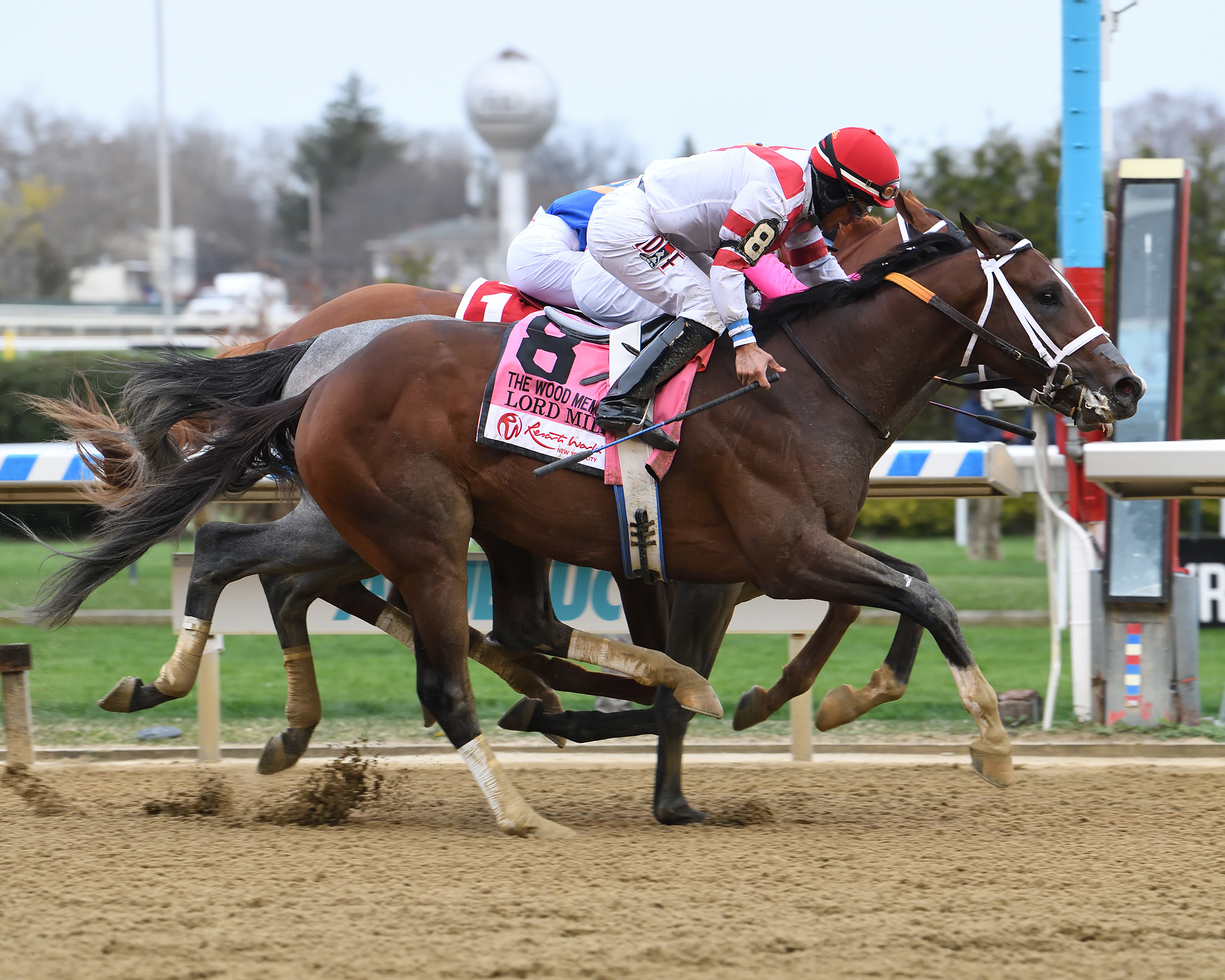 Mackins on Derby trail as Smile Happy takes Ky Jockey Club - Kentucky  Horsemen's Benevolent and Protective Association