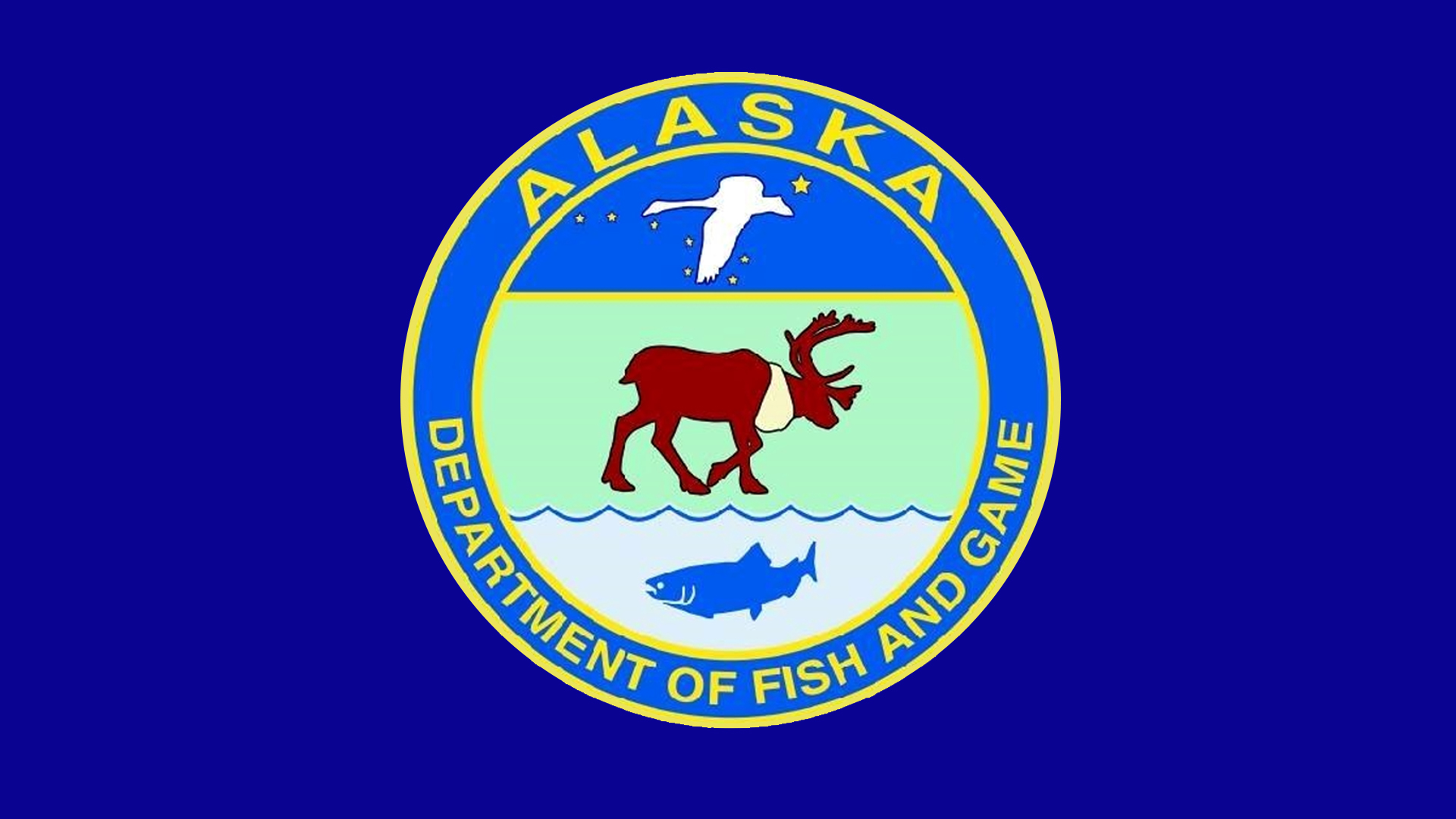 alaska hunting permits drawing patternfashiondesignclothingmen