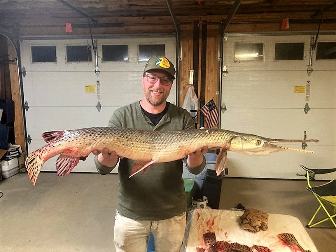 Longnose gar sets new Vermont state record