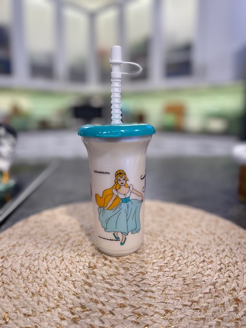 Disney Princess Snowglobe Tumbler with Straw