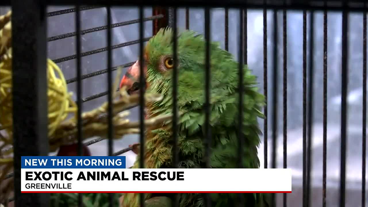 Upstate animal sanctuary gives exotic animals second chance at life