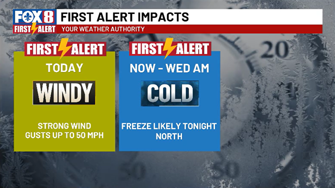 Freeze Watch in effect as a cold blast sends temperatures plunging