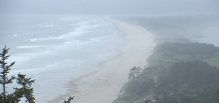 Lost 4-year-old found 5 miles away after massive search at Cape Lookout State Park