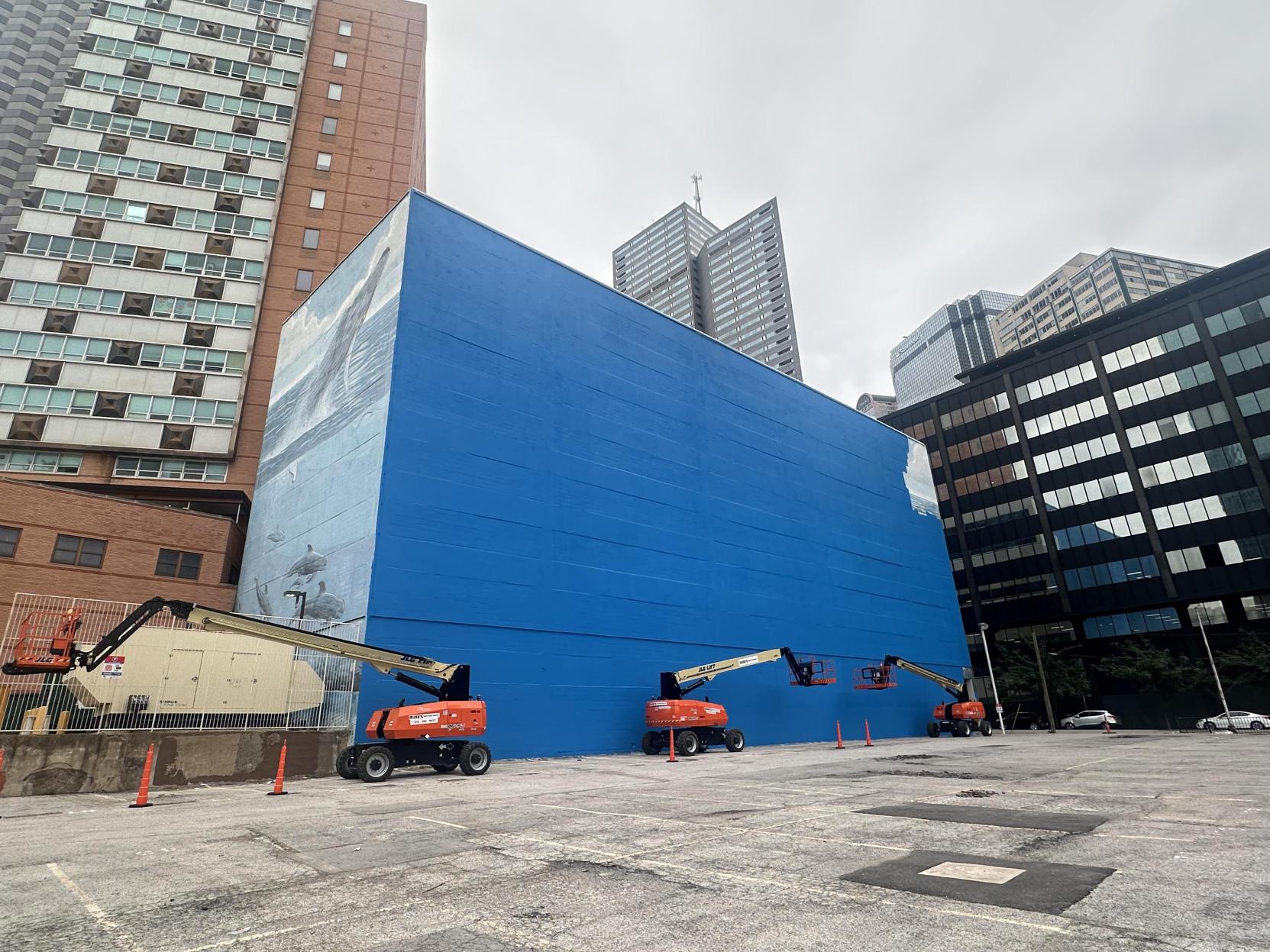Artist behind Anchorage whale mural says federal law was violated