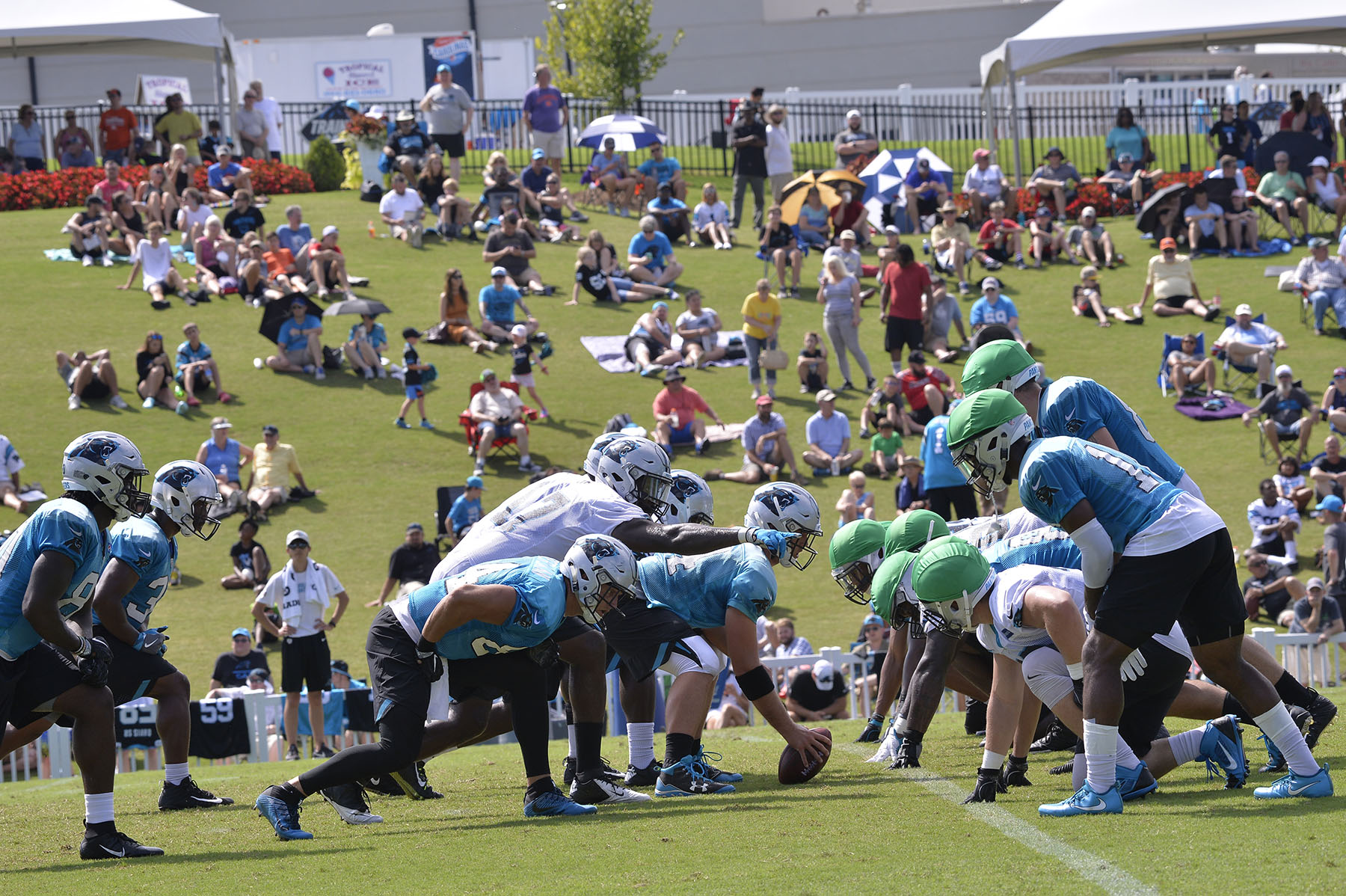 Panthers Take Training Camp To Bank Of America Stadium For Fan