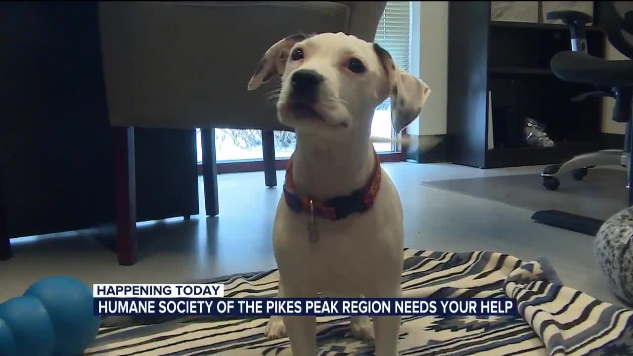 Humane Society of the Pikes Peak Region