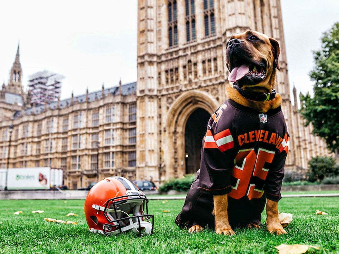 August 21, 2017: Cleveland Browns Mascot ''CHOMPS'' performs during the NFL  football game between the New York Giants and the Cleveland Browns at First  Energy Stadium in Cleveland, Ohio. JP Waldron/Cal Sport