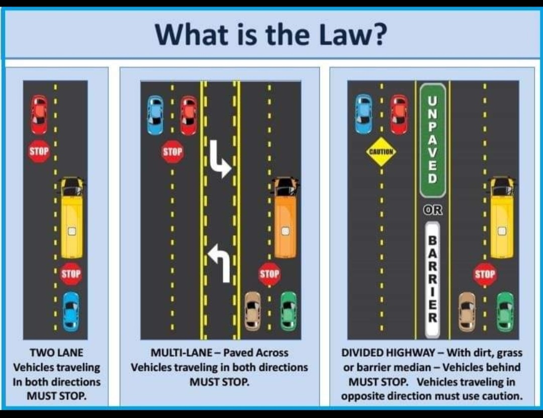Stay in the Know: 10 Essential Traffic Laws Every Driver Should Follow - 1. School zones and bus laws