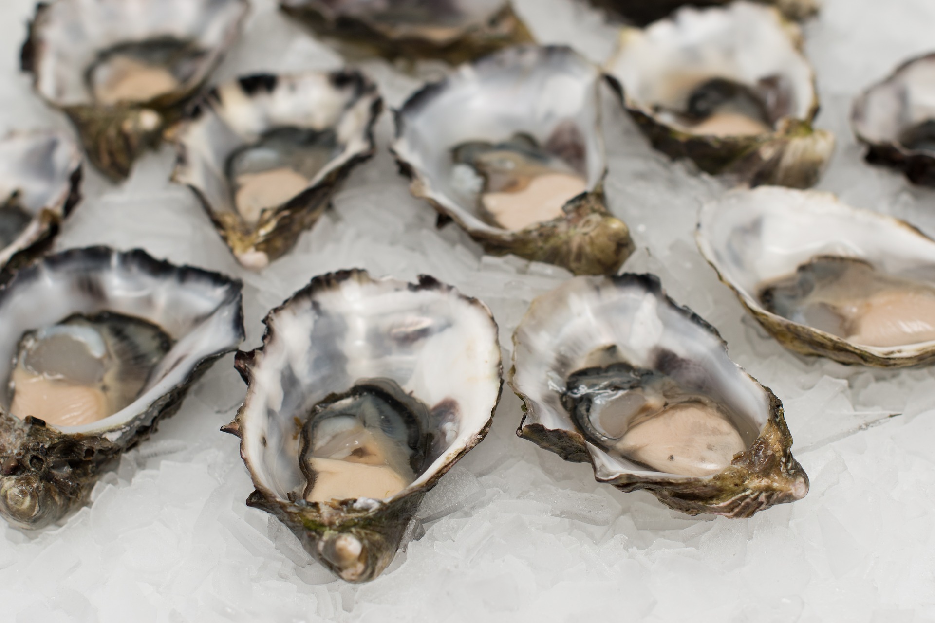 Calories In Oysters And Nutrition Facts, 57 OFF