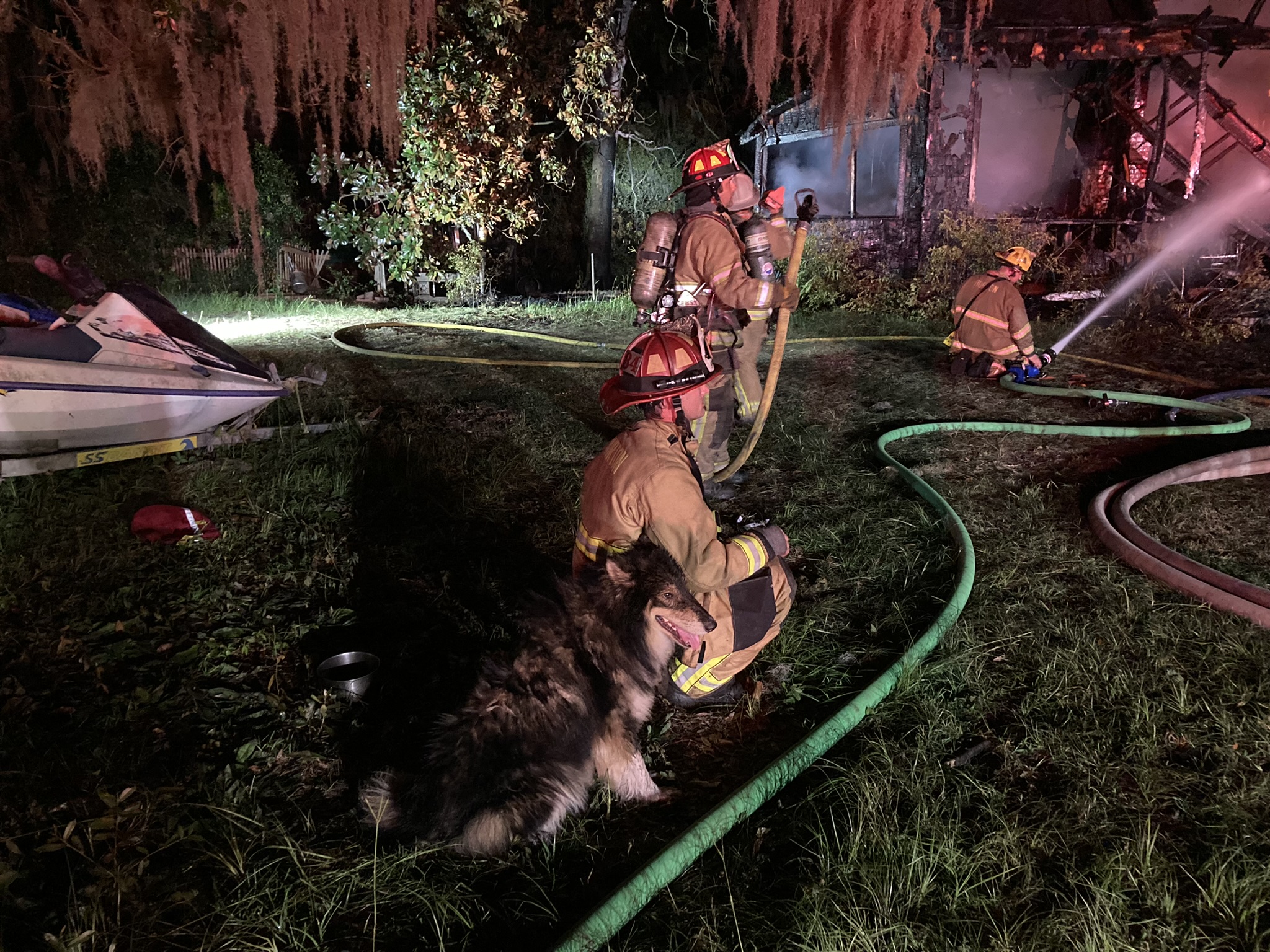 Several animals die in house fire on Trask Parkway