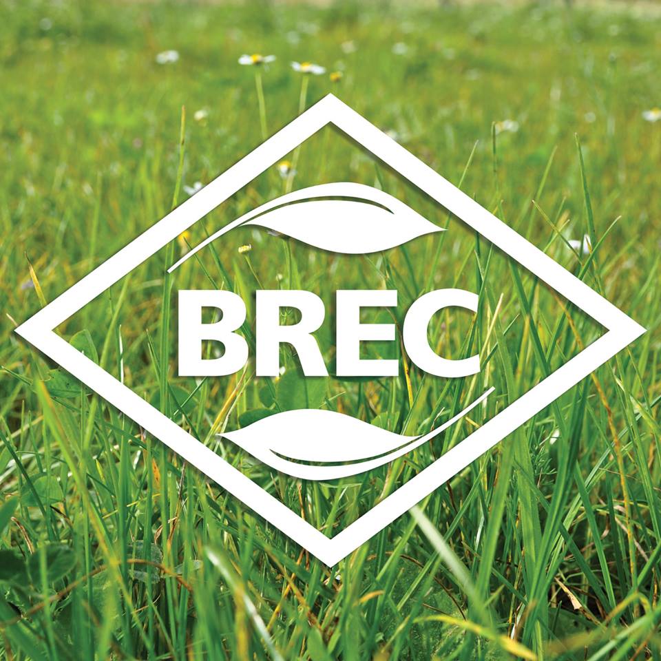 BREC is asking the community to give input on updates to its park system;  here's how