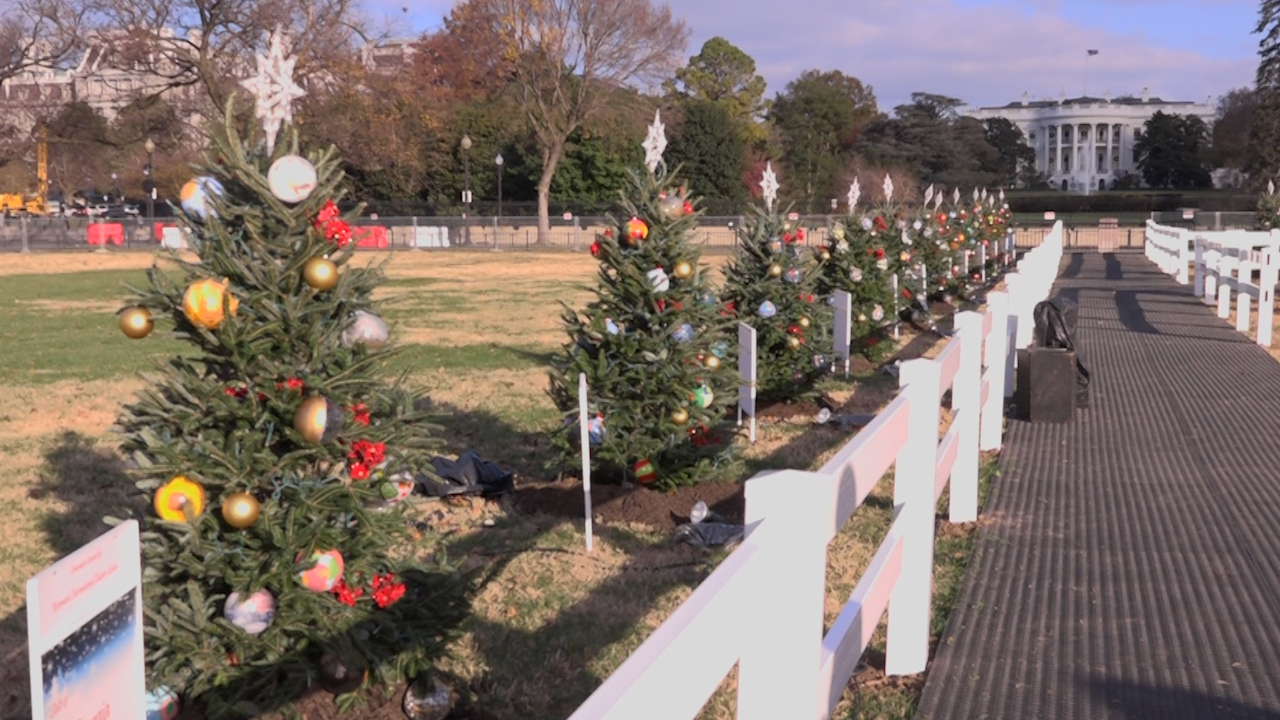 Dc Christmas Tree Oregon Trail 2022 Capitol Christmas Tree Arrives In D.c. After Stops Along Oregon Trail