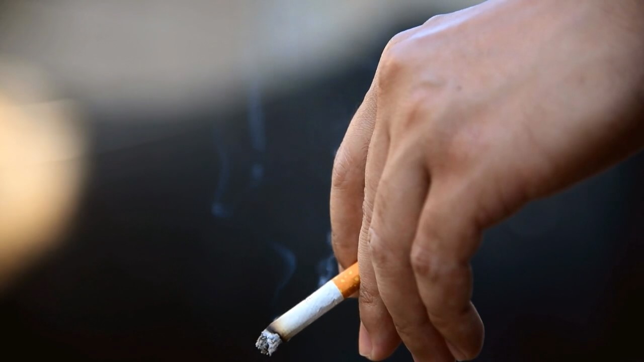 cigarette australia Australia just rolled out health warnings on every cigarette :  r/mildlyinteresting