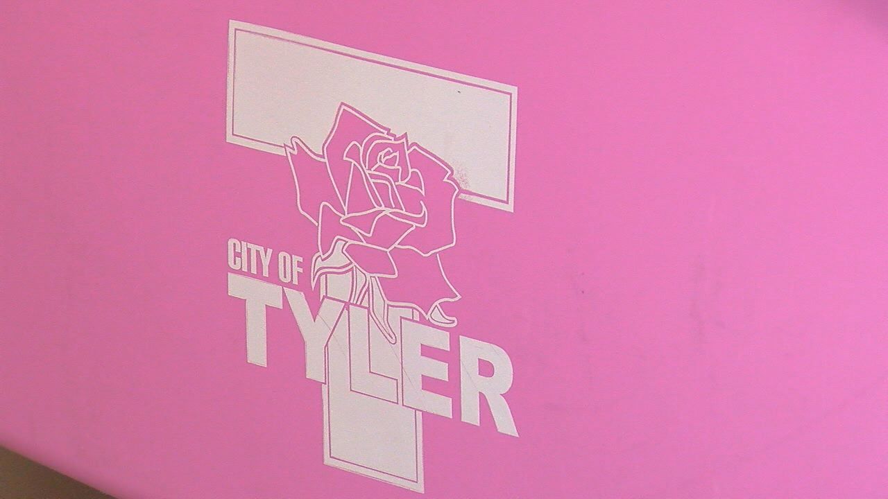 City's sale of pink garbage cans will promote breast cancer awareness, Local News