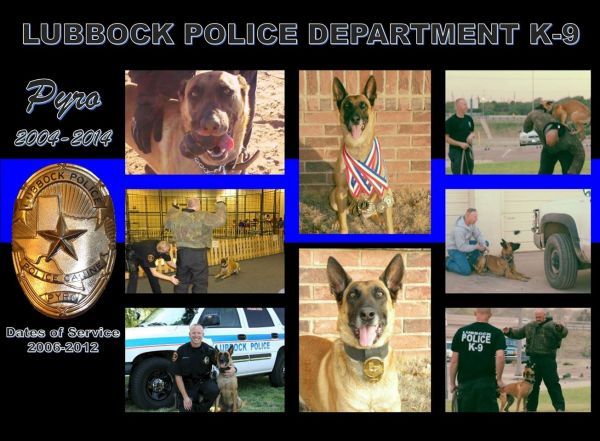 Lubbock Police Department K9, Bruno, Has Retired