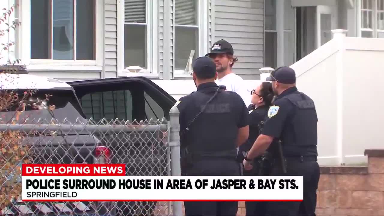 Heavy police presence seen in Springfield neighborhood