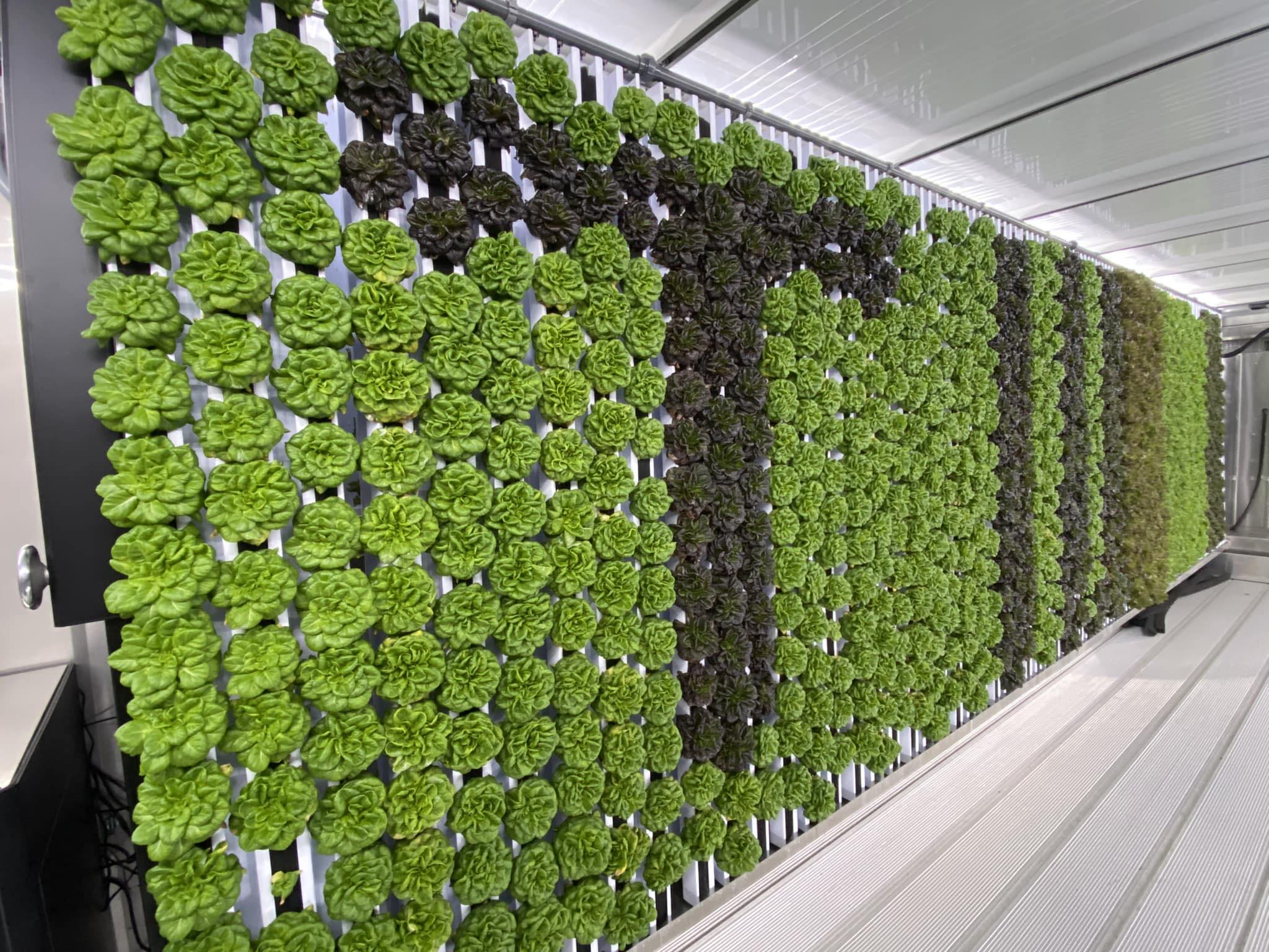 SC to launch nation's first vertical farm inside a prison