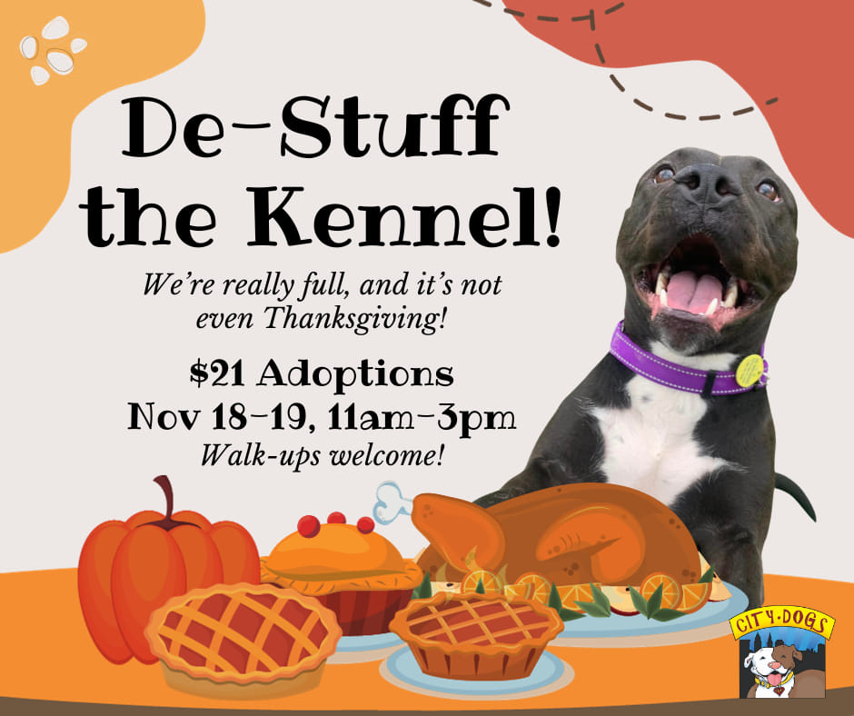 De-Stuff the Kennel:' Give a Cleveland kennel dog a home this