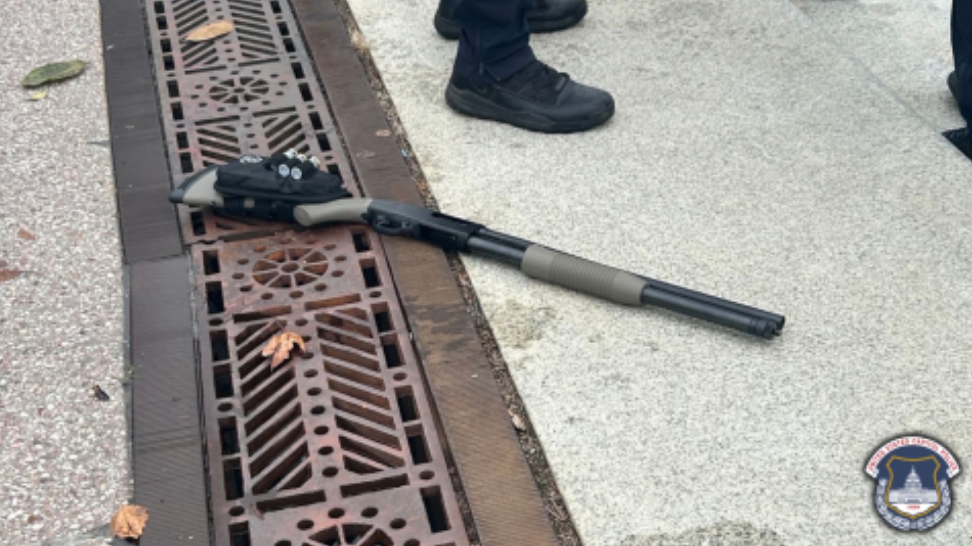 Police arrest man who ran toward US Capitol building holding a shotgun