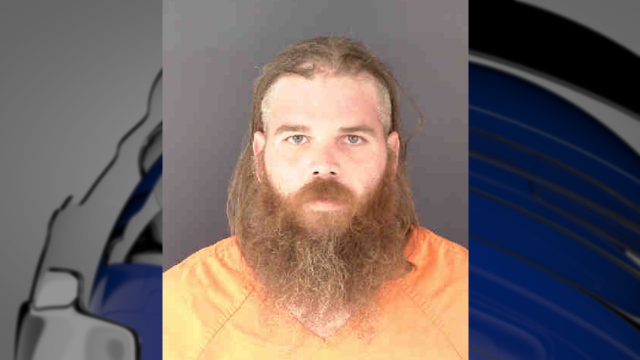 Sarasota man charged with possessing child porn