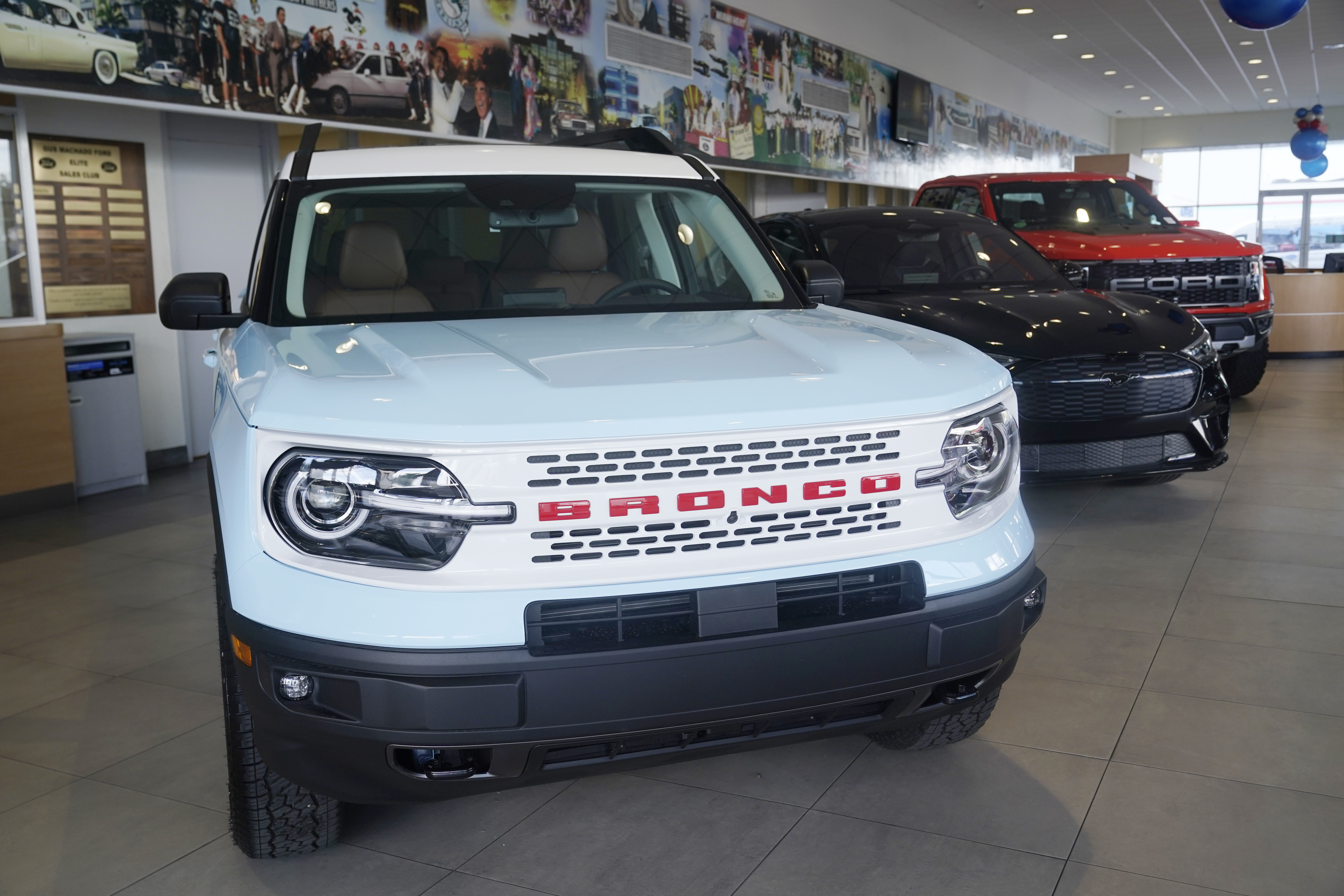 Focus: Big U.S. auto dealers bet billions against the death of the  dealership