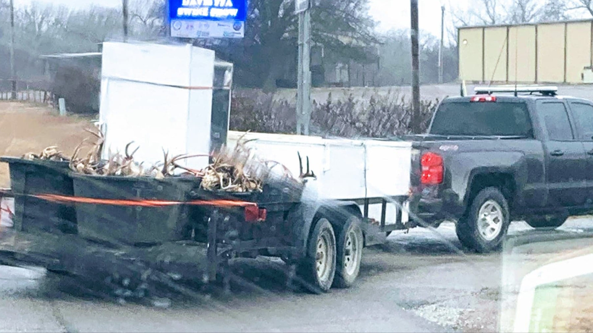 Murray Co. game wardens work to return harvested animals after being seized  from taxidermist