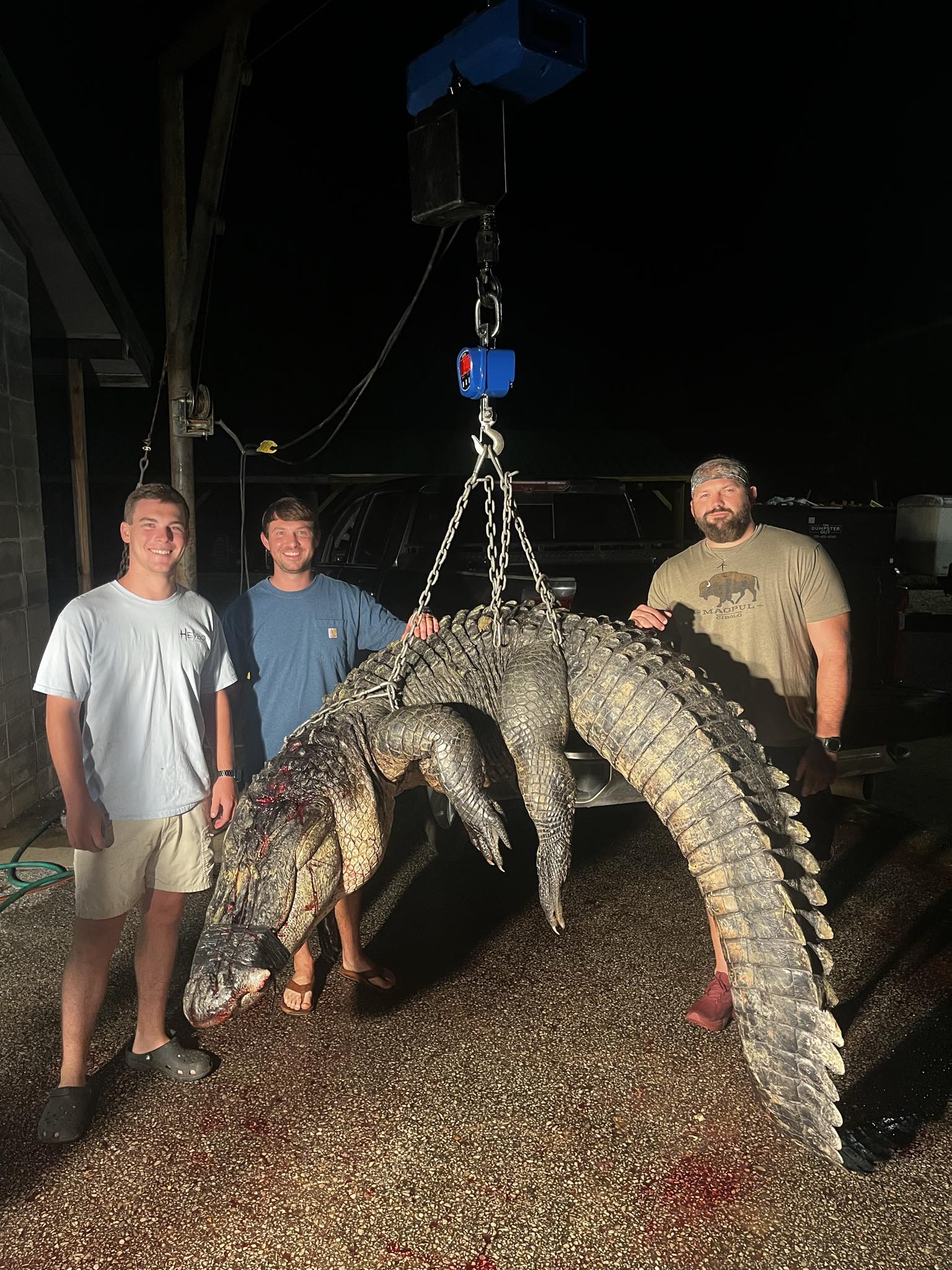 770-pound alligator caught in Clarke County during Alabama's