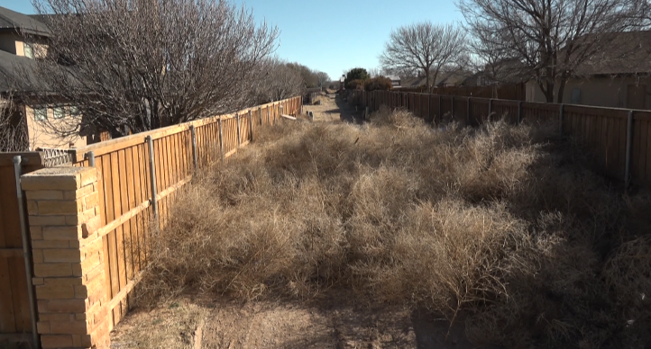 Tumbleweeds cover Wolfforth neighborhood, streets in west Texas