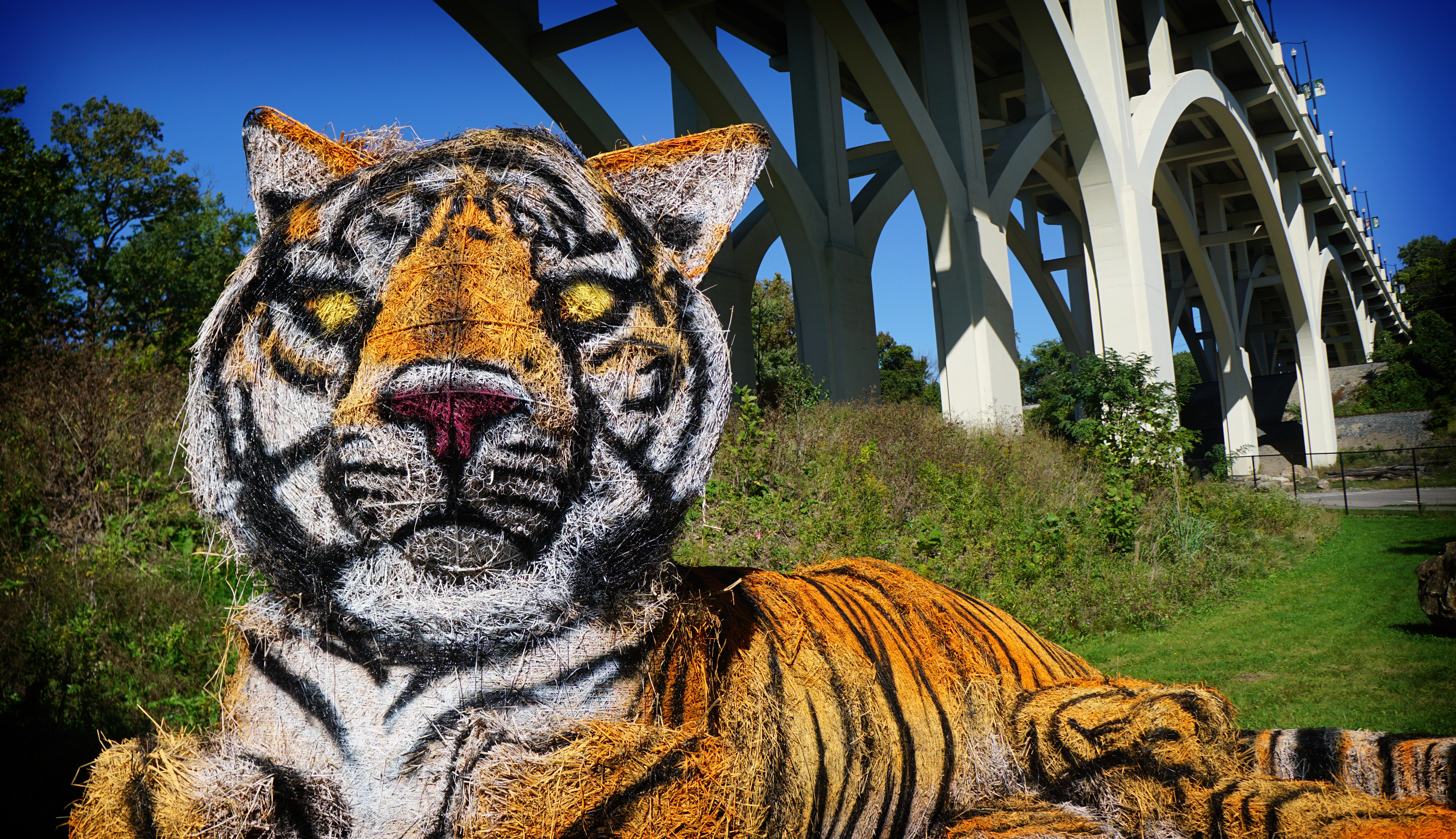Boo at the Zoo returns Oct. 12 to the Cleveland Zoo