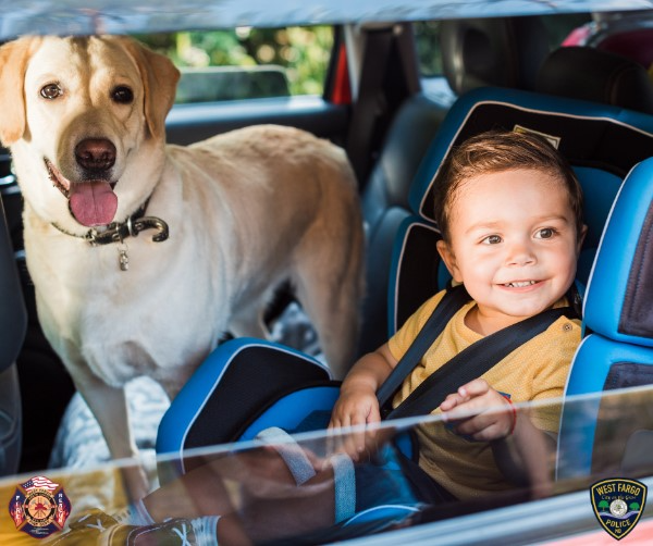 Don't rush your children out of booster seats - InForum  Fargo, Moorhead  and West Fargo news, weather and sports