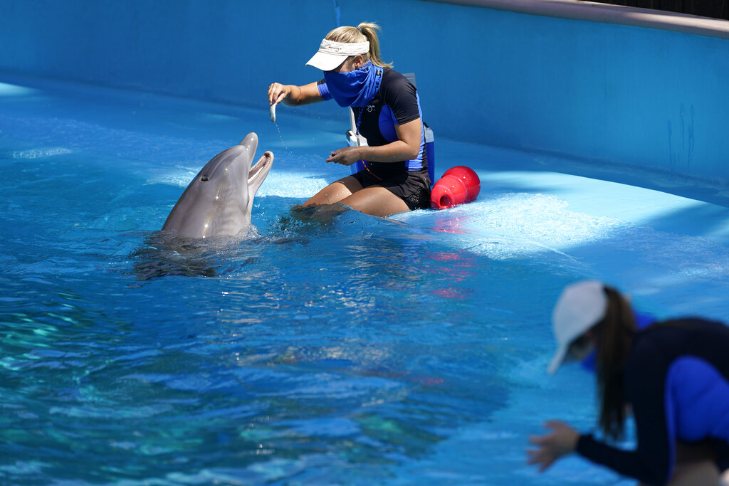 Siegfried & Roy's Secret Garden and Dolphin Habitat