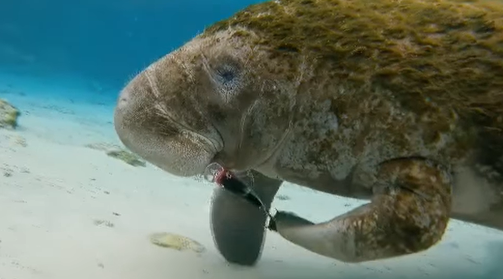 Fishing nets have a rich history in Manatee County