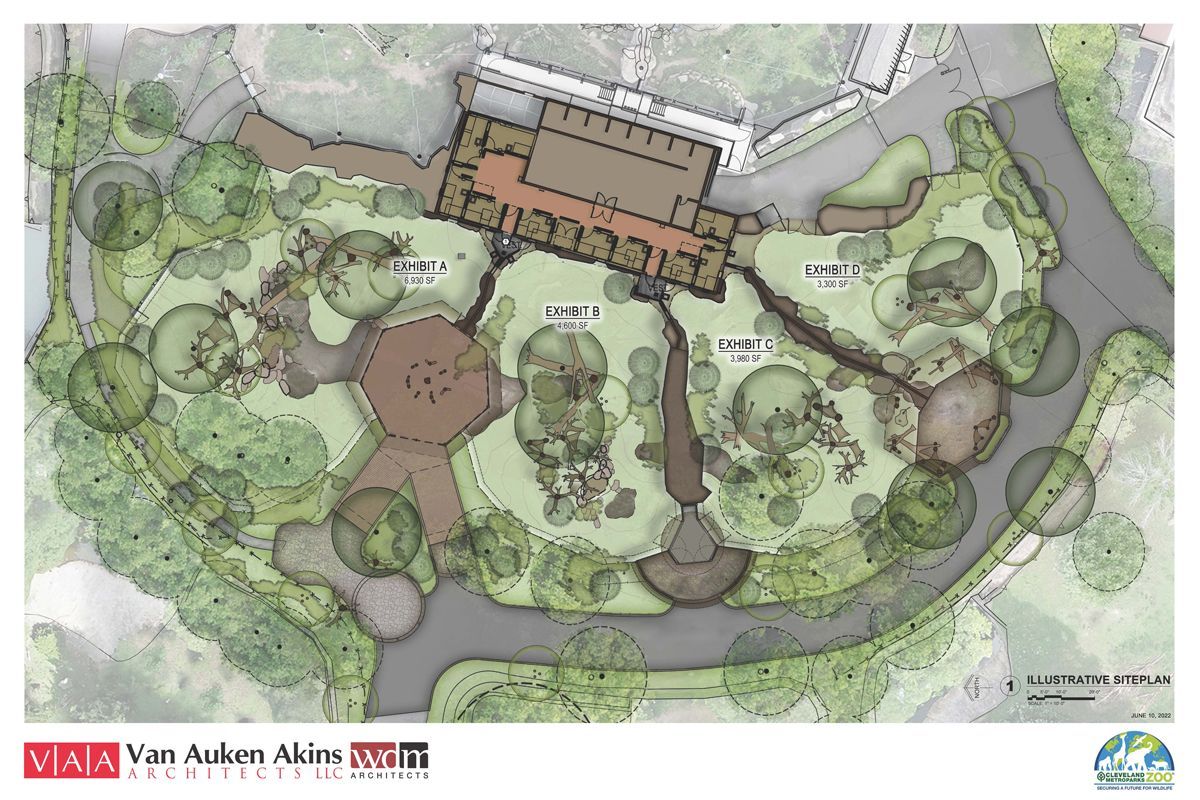 Cleveland Metroparks Zoo to open new 'Bear Hollow' habitat