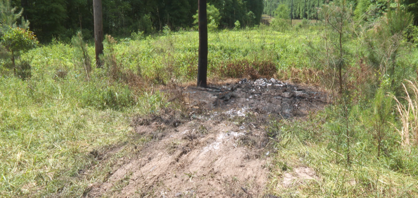 Family of missing Bamberg County woman searches for answers after discovery  of human remains in burnt car