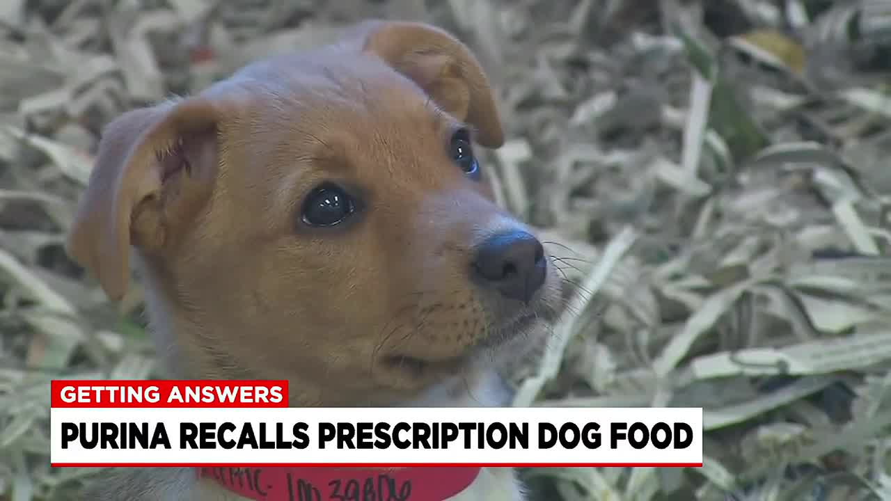 Local veterinarian addresses recall of popular prescription dog food