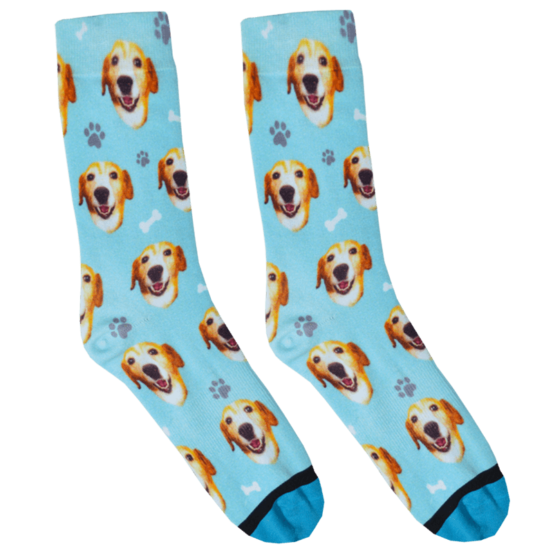 dog on socks custom