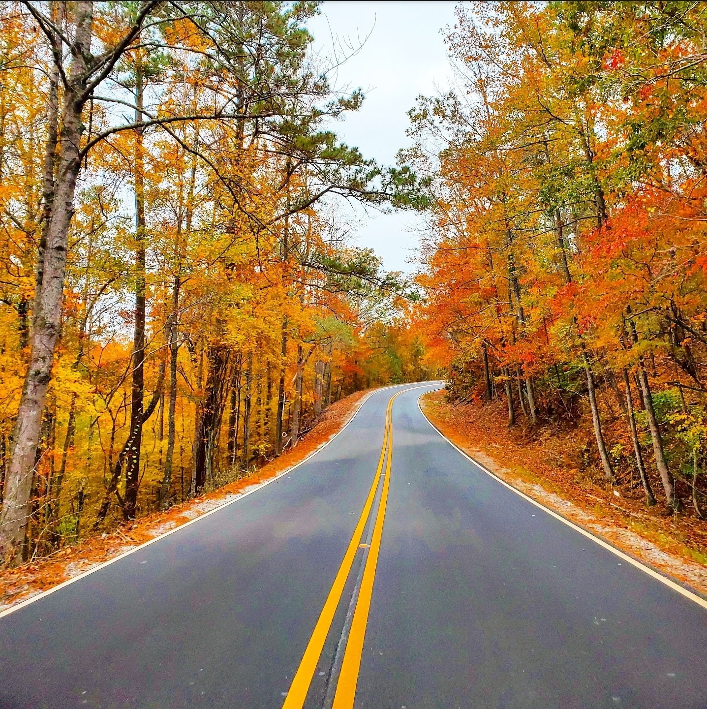 Fall Color on Display at Alabama's State Parks