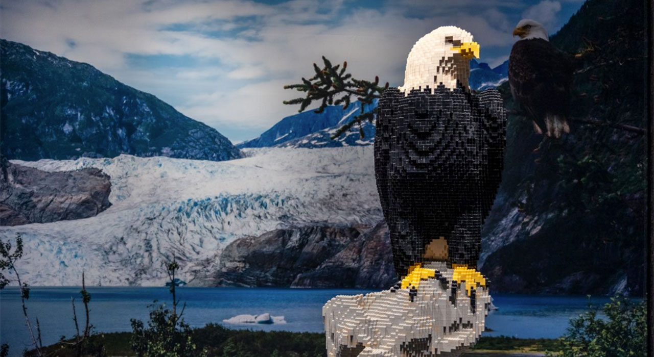 サーフオブジェ West Palm Beach's Cox Science Center debuts Lego wildlife