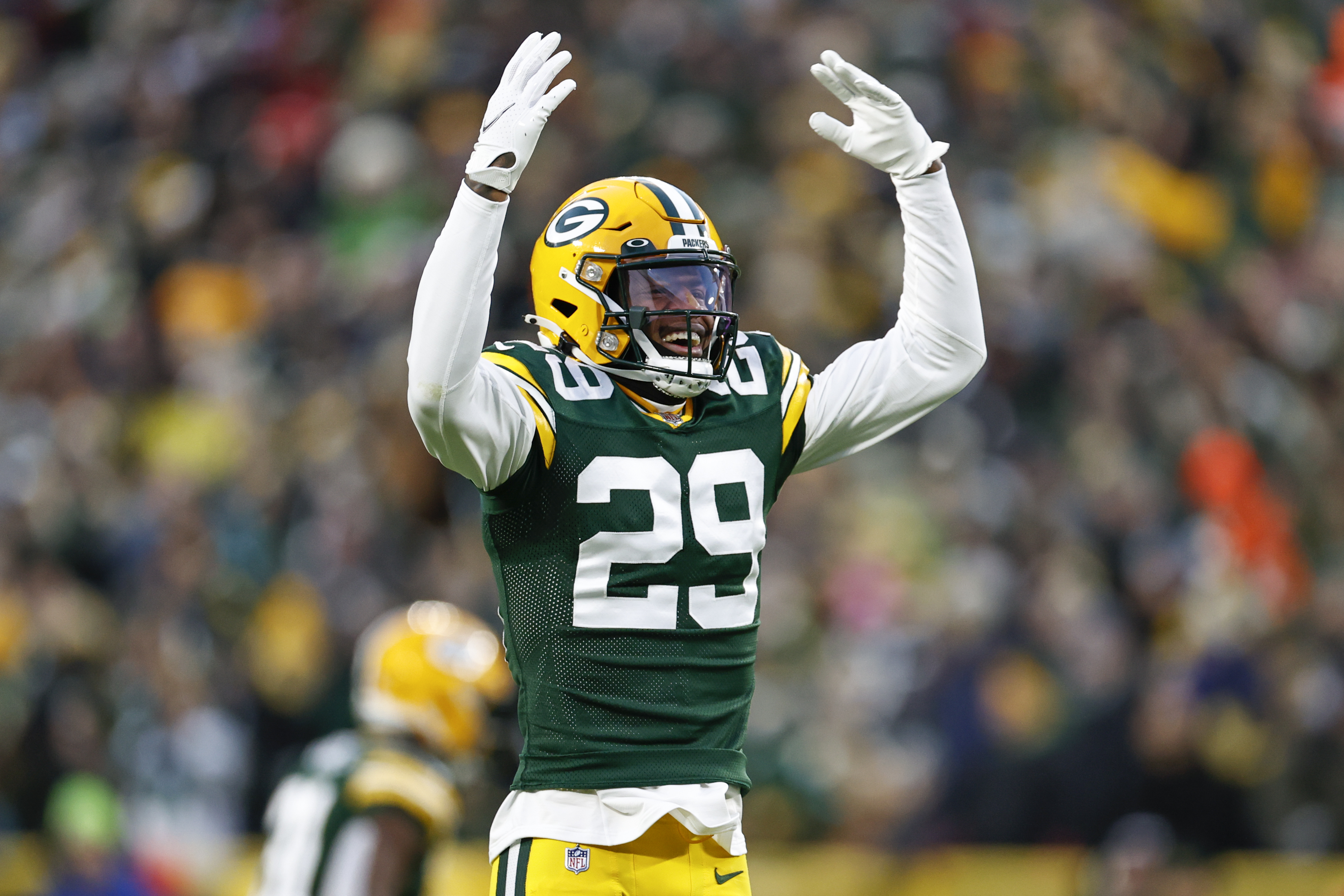 GREEN BAY, WI - NOVEMBER 13: Green Bay Packers safety Darnell