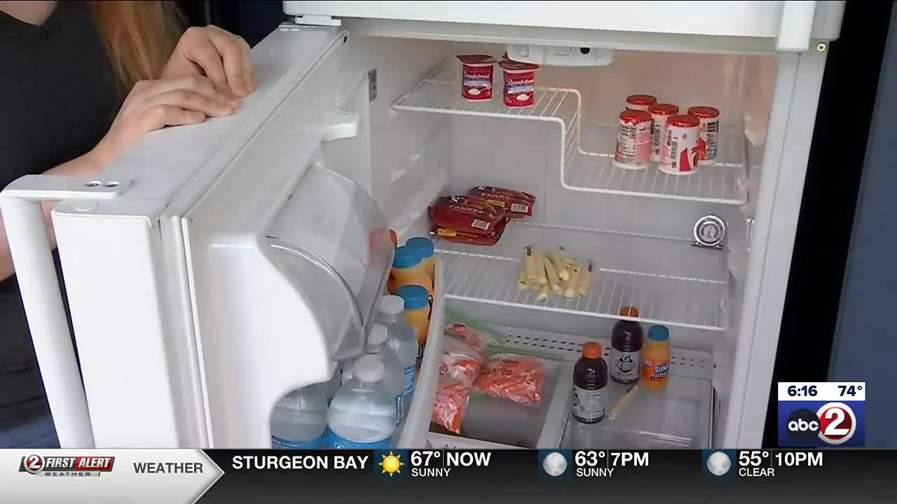 green bay packers fridge