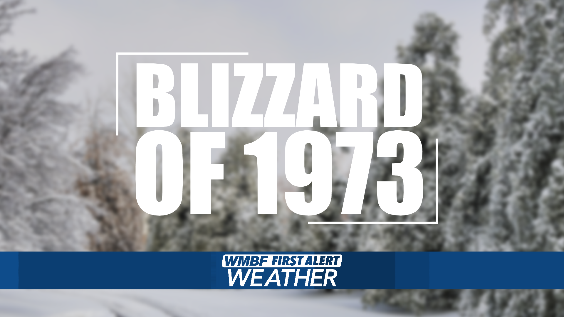 FIRST ALERT: Historic 1973 snowstorm buries South Carolina under